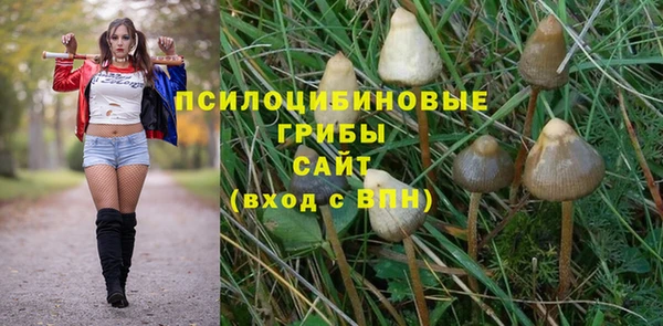 крисы Горняк