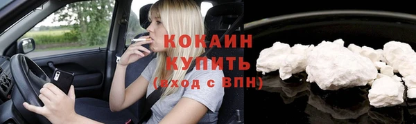 крисы Горняк