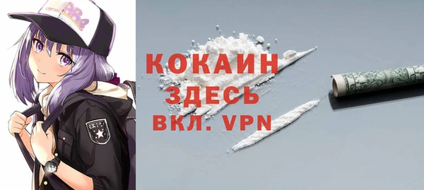 крисы Горняк