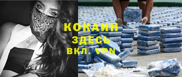 крисы Горняк