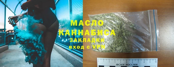 крисы Горняк